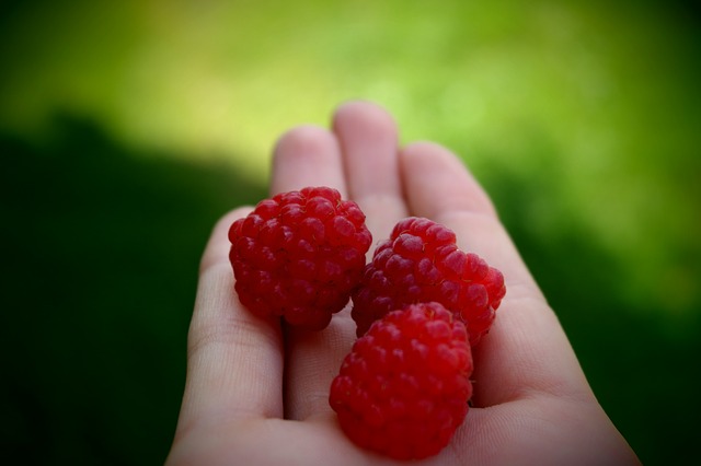 giving fruit