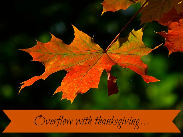 thanksgiving graphic for blog