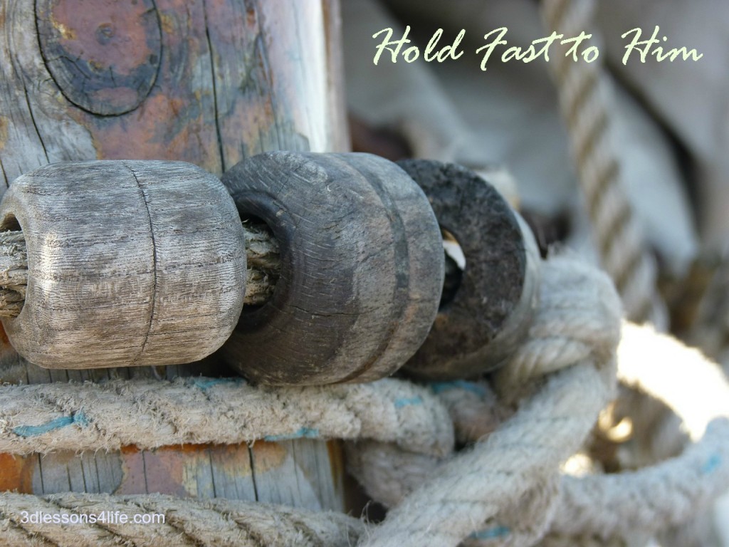 Hold Fast