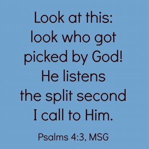 Psalms 4:3