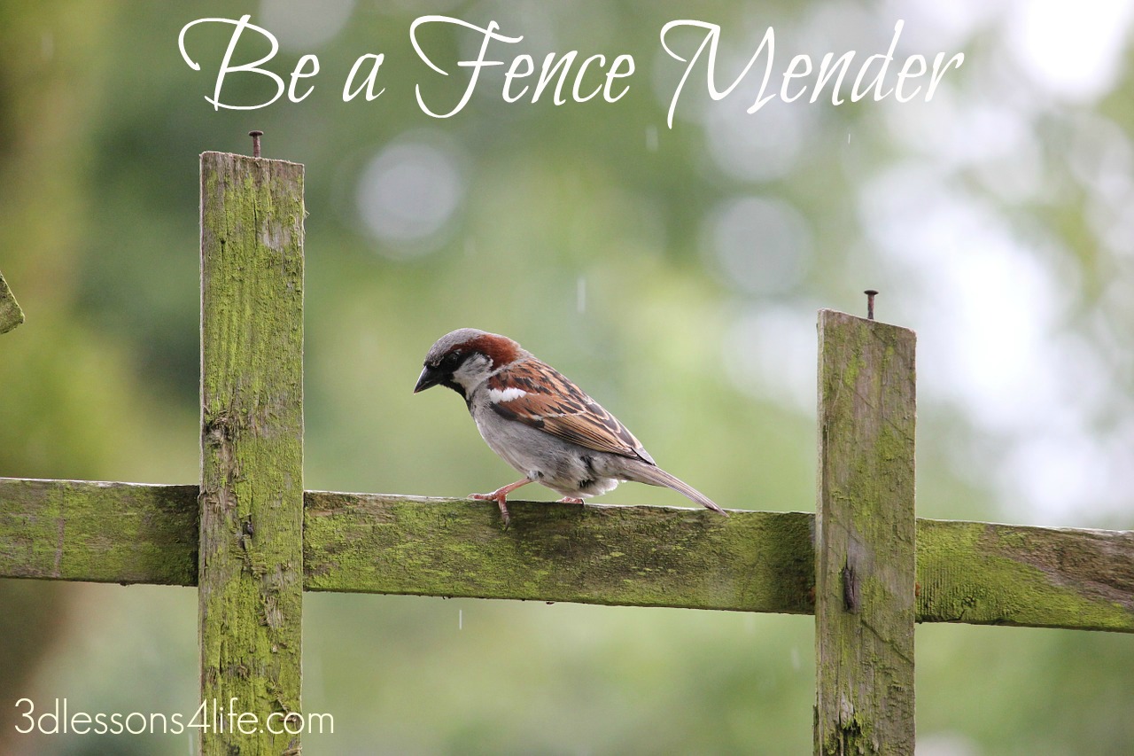 Mend Fences