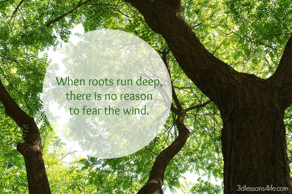 roots run deep