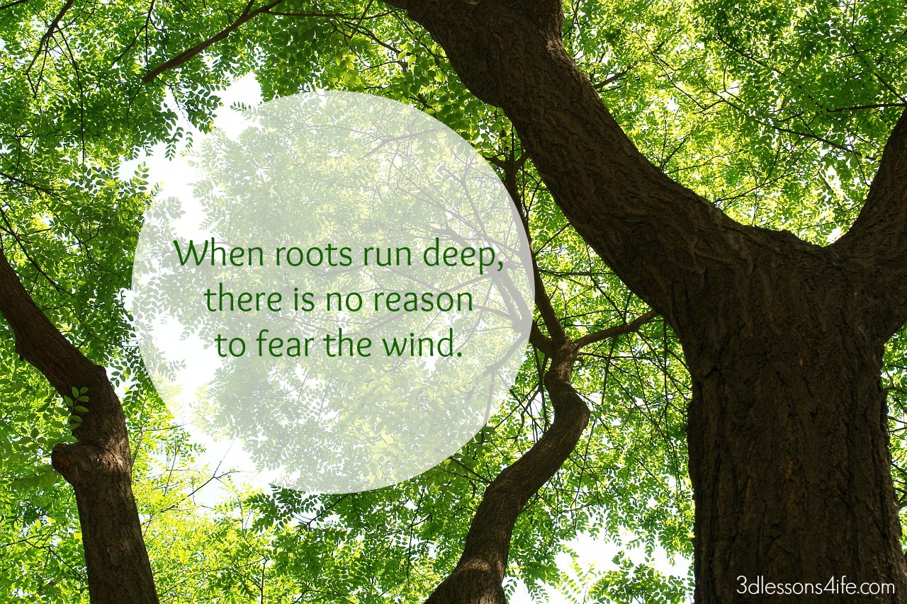 roots run deep