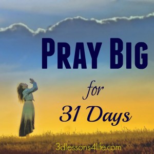 Pray Big for 31 Days Button