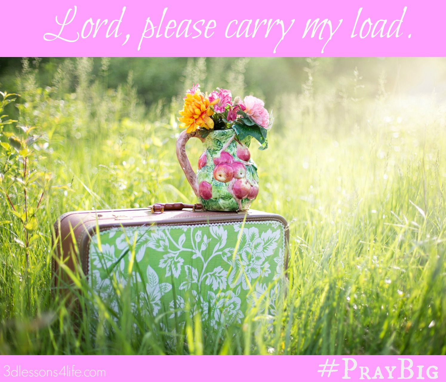 Carry My Load