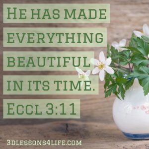 Ecclesiastes 3:11 | 3dlessons4life.com
