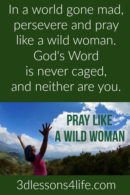 Wild Woman Prayers | 3dlessons4life.com