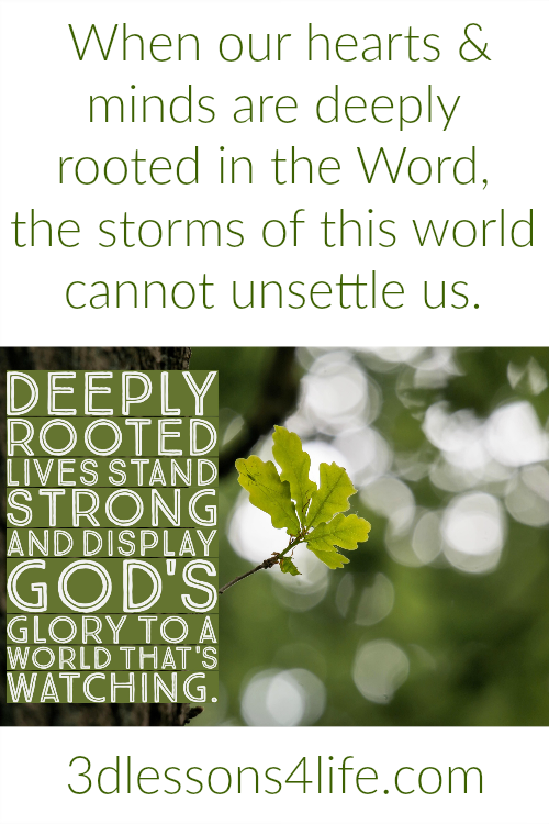 Deeply Rooted |3dlessons4life.com