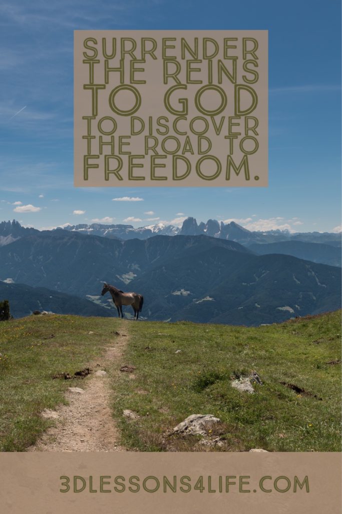 Surrender the Reins to God | 3dlessons4life.com