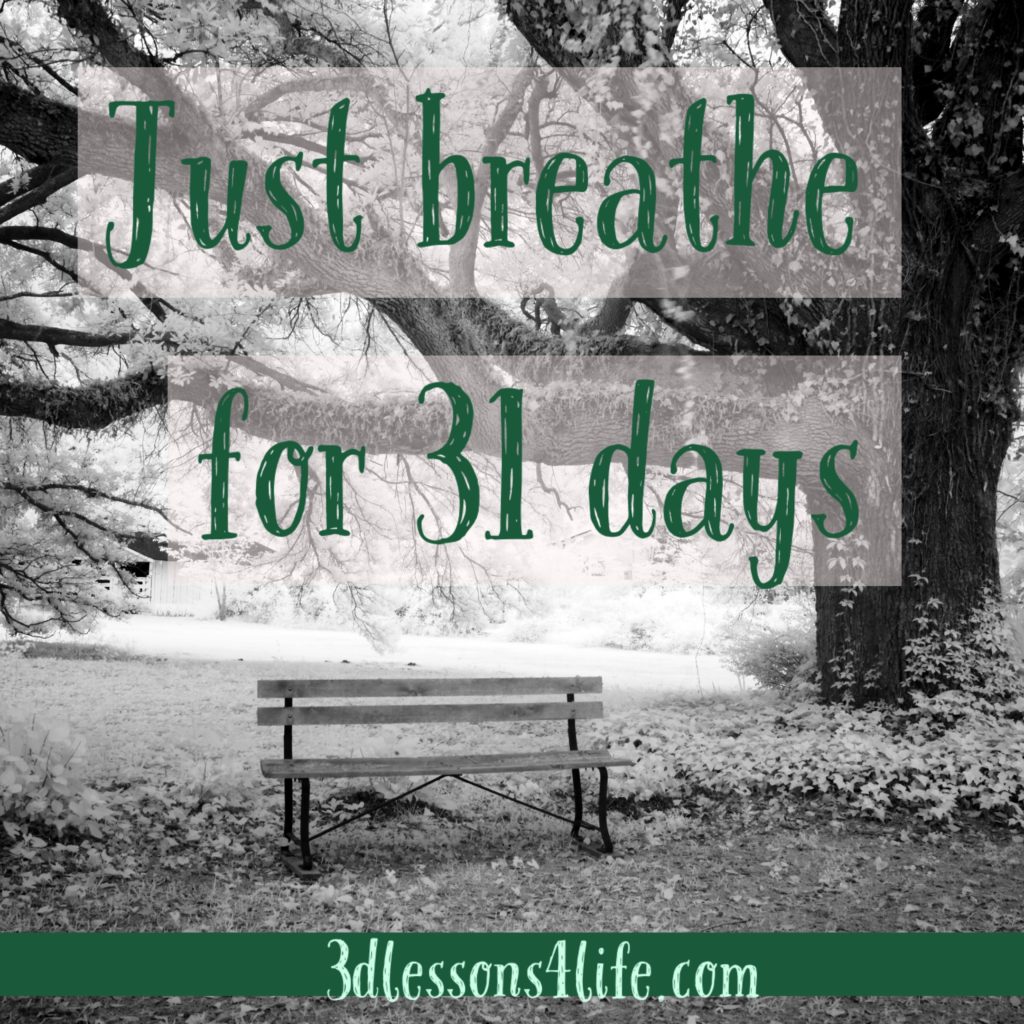 Just Breathe for 31 Days | 3dlessons4life.com