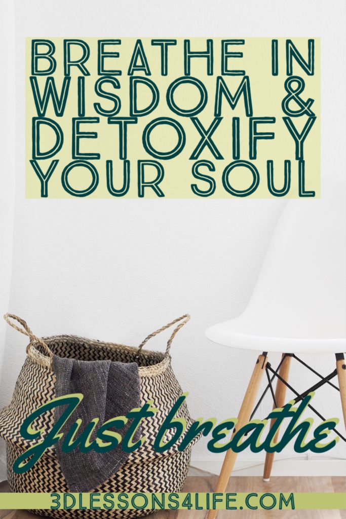 Detoxify Your Soul | Just Breathe for 31 Days - Day 16 | 3dlessons4life.com