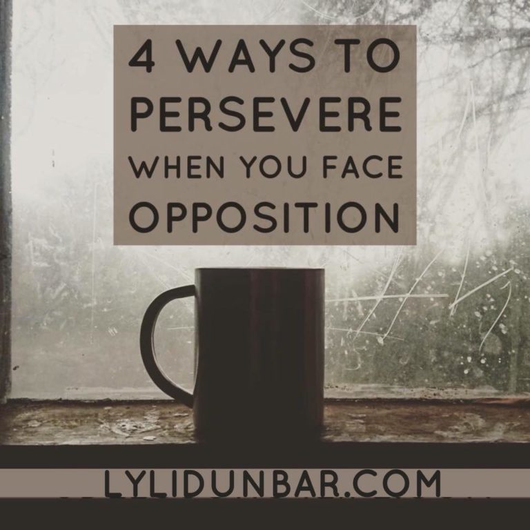 4 Ways to Persevere When You Face Opposition