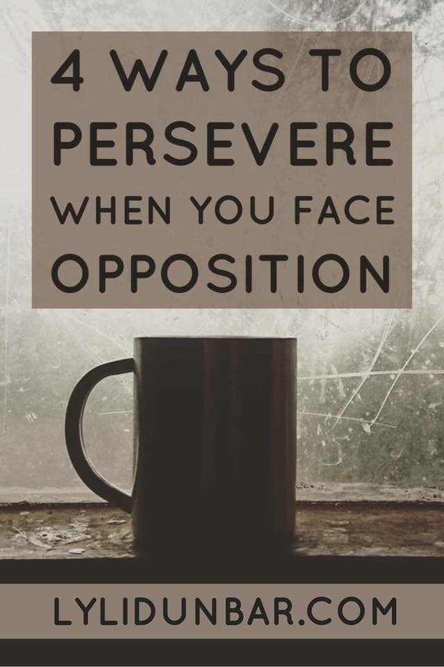 4 Ways to Persevere When You Face Opposition | lylidunbar.com