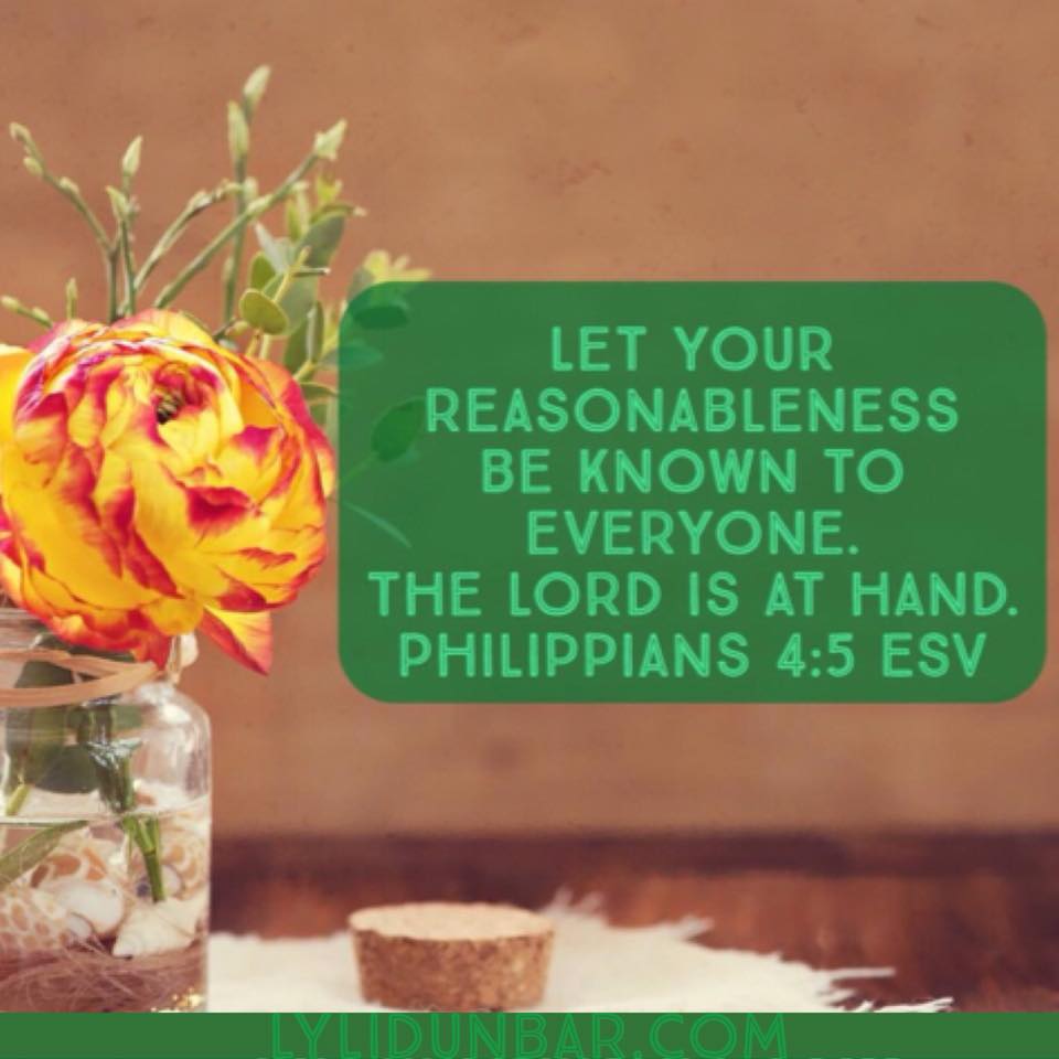 Sweet Reasonableness | lylidunbar.com | Wildfire Faith 