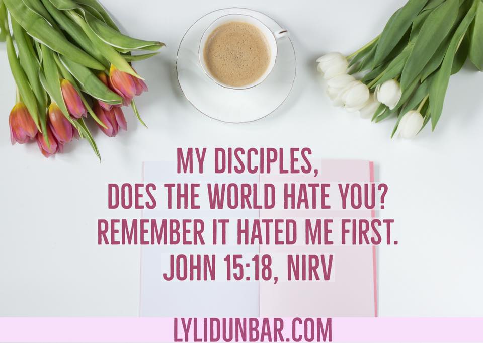 How to Respond to a Hater | lylidunbar.com